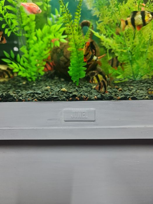 Аквариум JUWEL-120 л, філтьр, нагрівач, кисень( з рибками