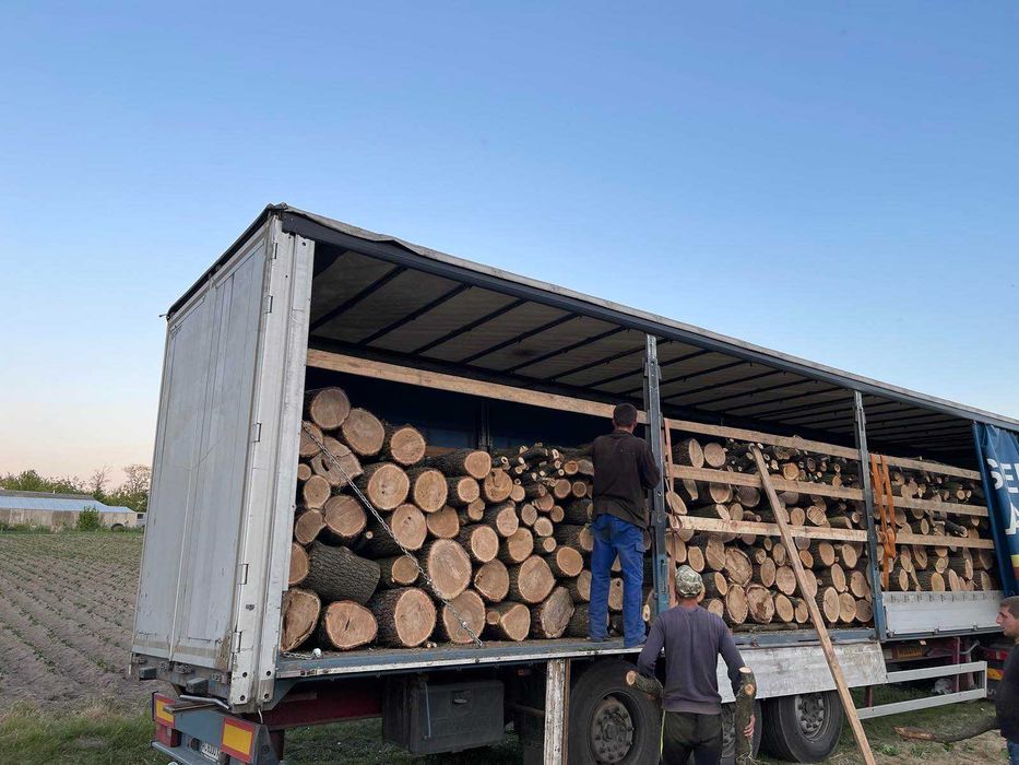 Дрова оптом фурами — конкретика и надёжность, доставка без предоплаты