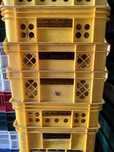 Skrzynki plastikowe 12 kg 20kg