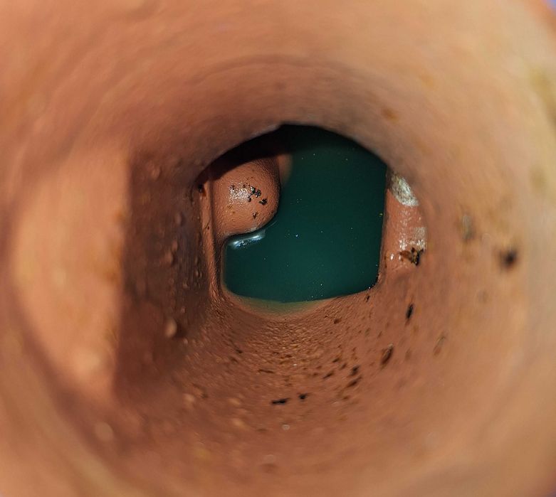 Pompa Próżniowa Jednostopniowa Sihi Sterling Z Pierścieniem Cieczy