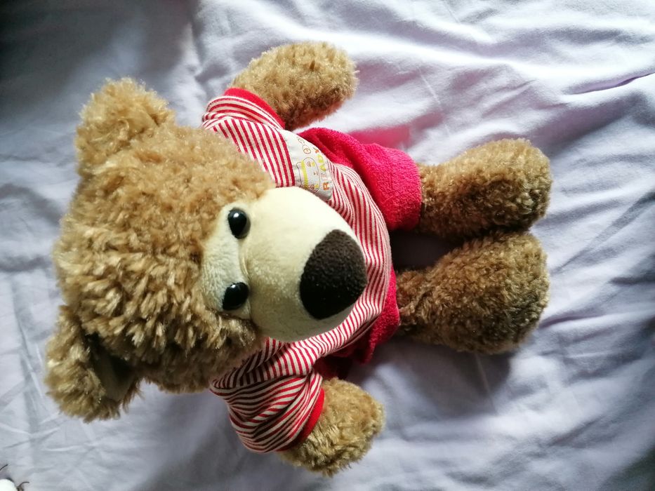 Pluszowy Miś w ubranku