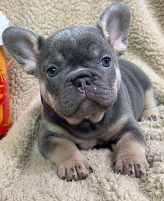 Дівчинка чекає, родину