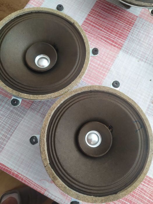 Динаміки колонки 6ГДР-1