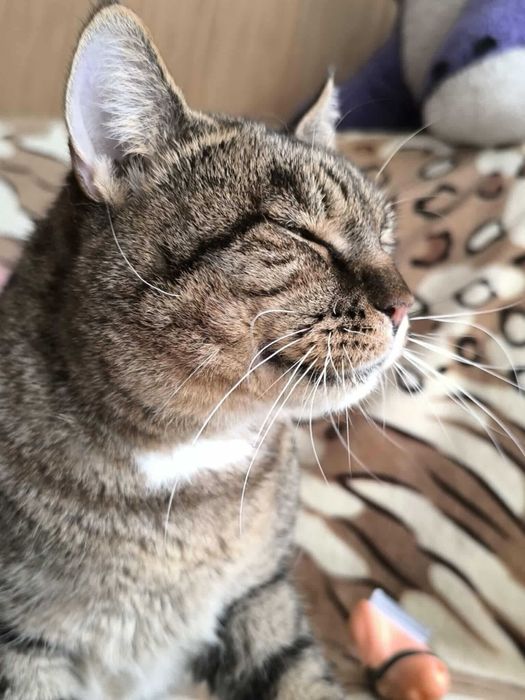 Benio czeka na domek