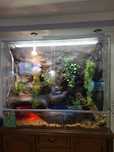 Terarium duże  nowoczesne.