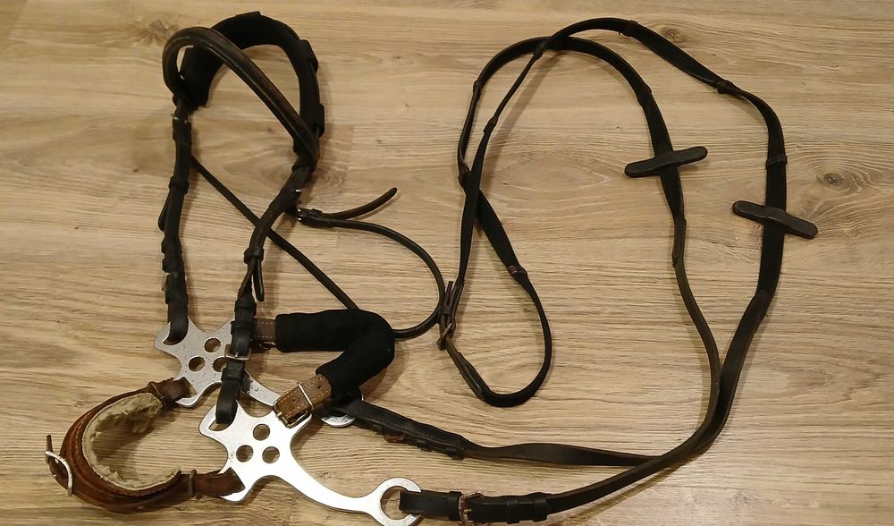 Kompletne ogłowie z hackamore