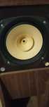 Динаміки Fostex FE 206