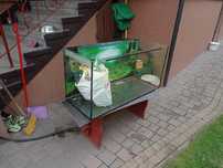 Akwarium 200l 100x40x50