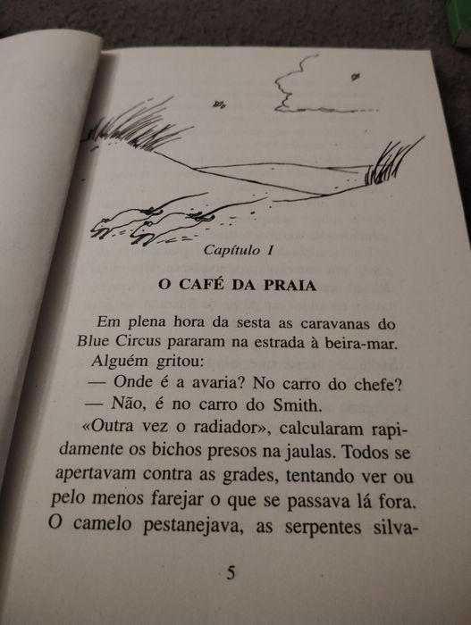 Livros Juvenis Usados