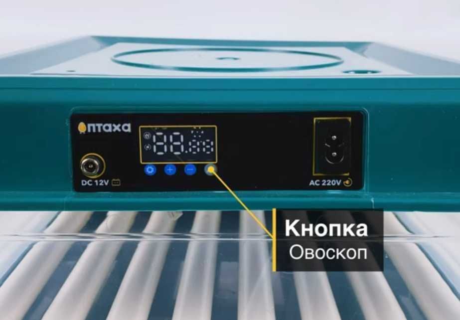 Пластиковий! Інкубатор автоматичний 48 яєць (12/220В) з овоскопом