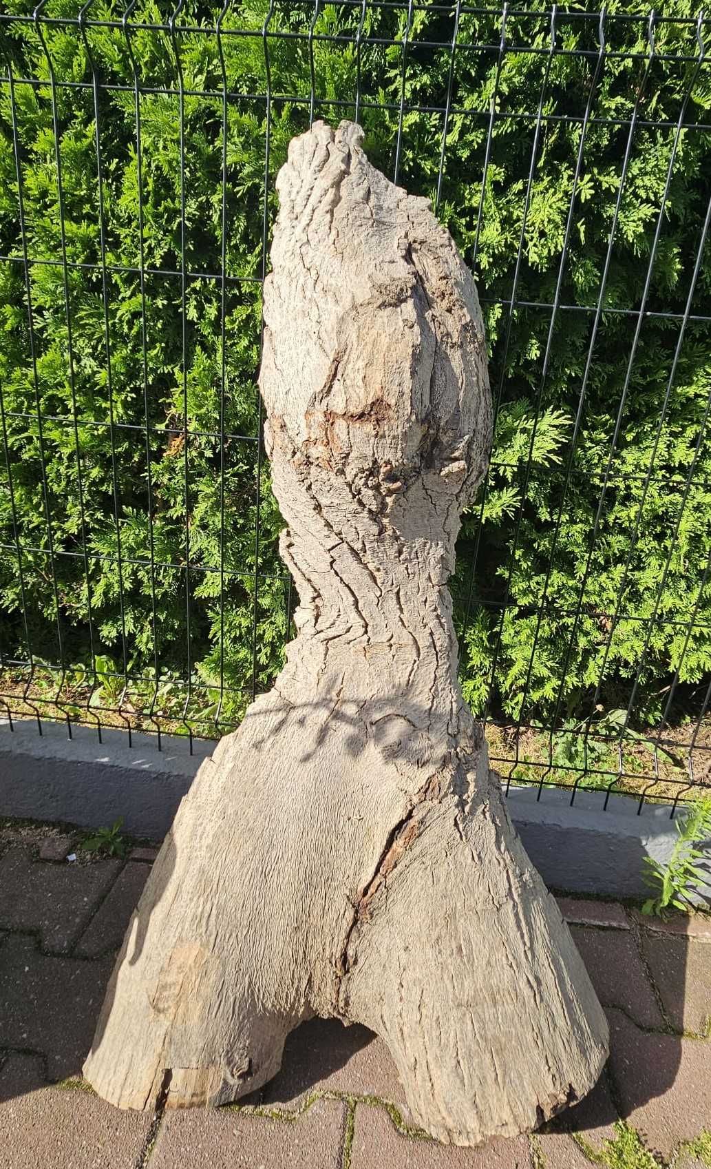 Foszty orzech włoski sezonowane 15 lat Nowa niższa cena!