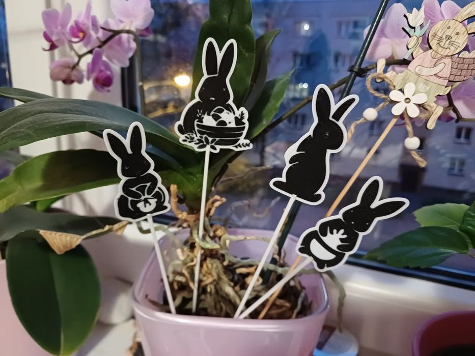 Decoração Páscoa Coelho Charmoso