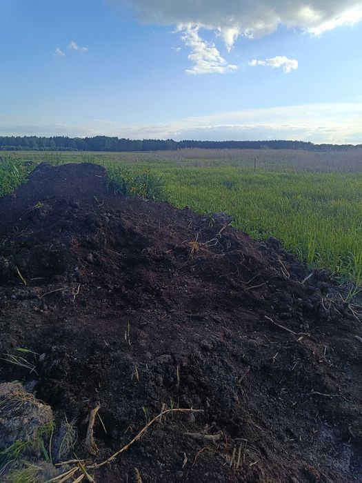 Sprzedam ziemię torfową
