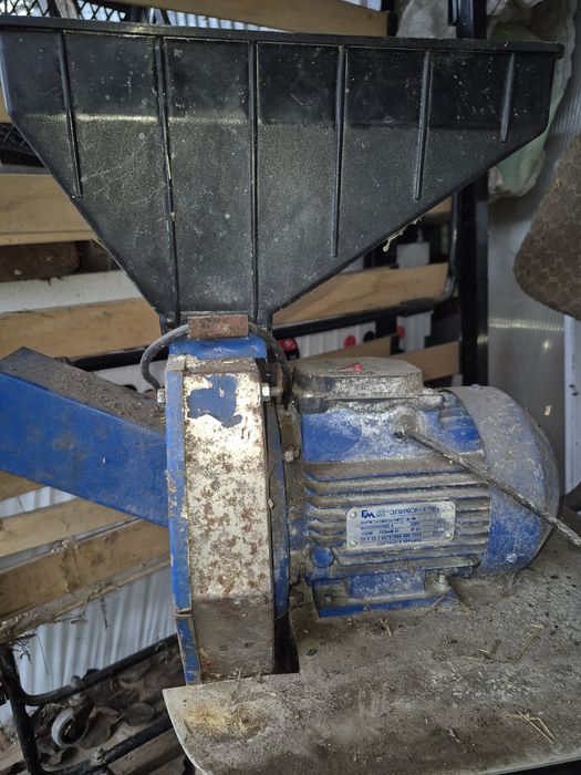 Крупорушка єлікор