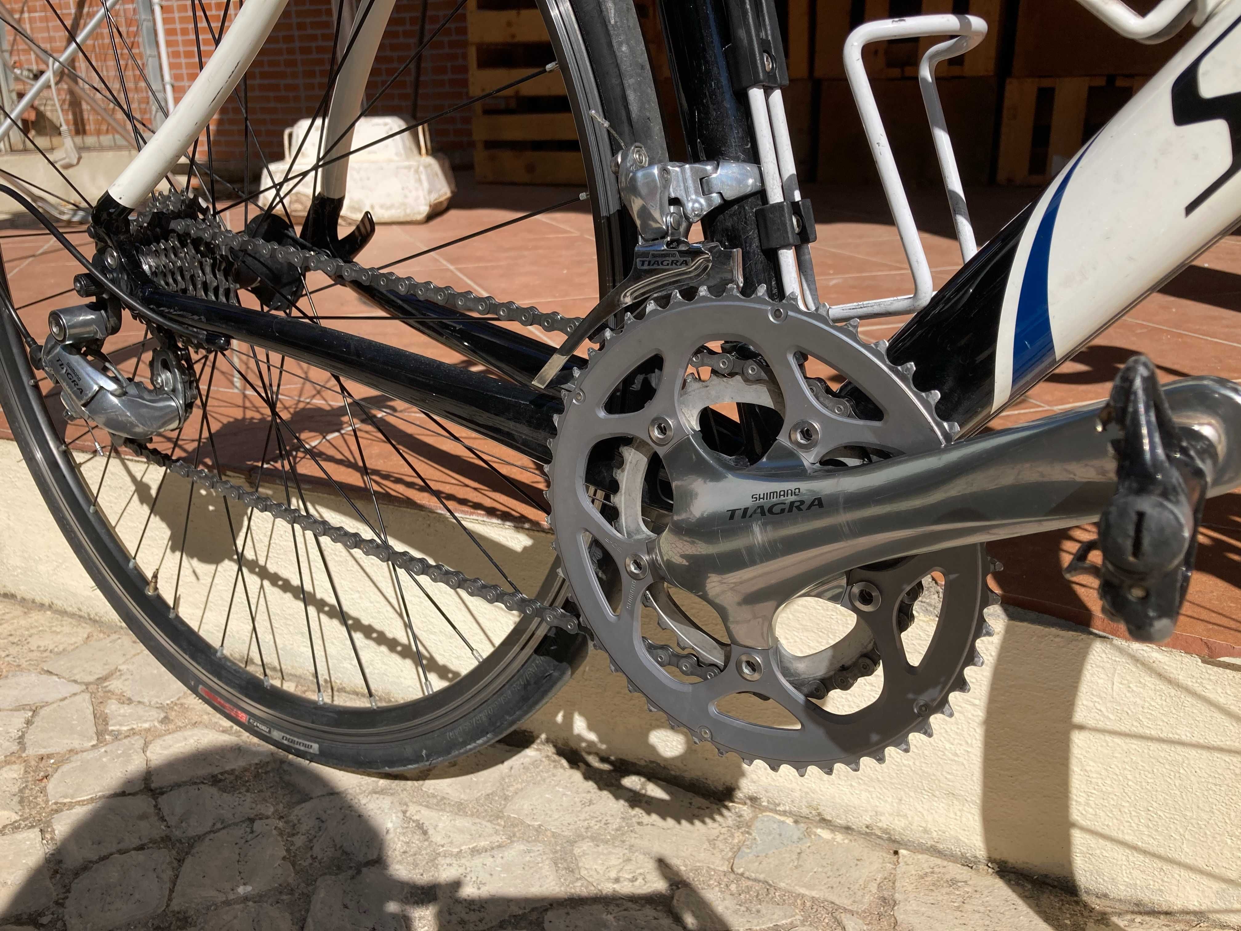 Bicicleta de estrada Specialized