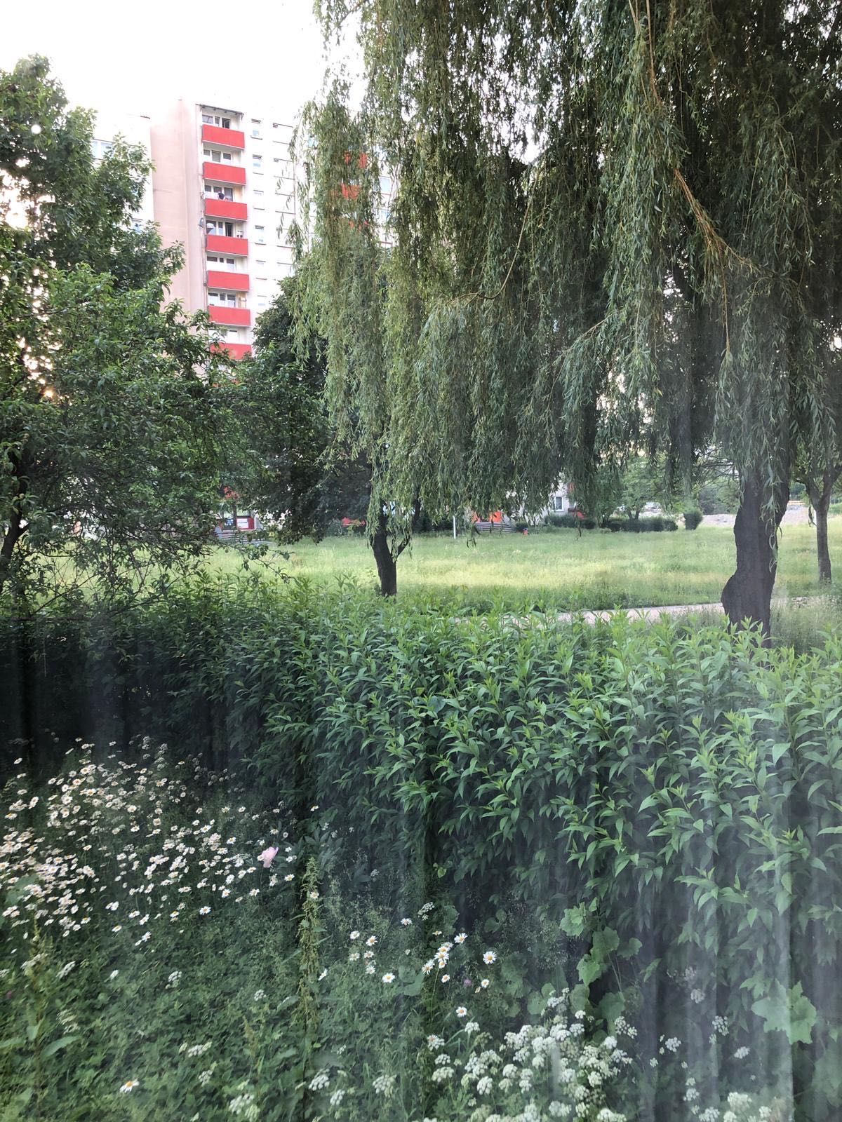 Kawalerka Tychy wynajem ( cena zawiera czynsz)