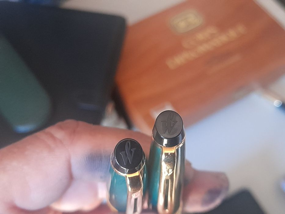 Canetas waterman Expert