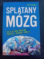 Splątany mózg. Jak są ze sobą powiązane percepcja, poznanie i emocje.