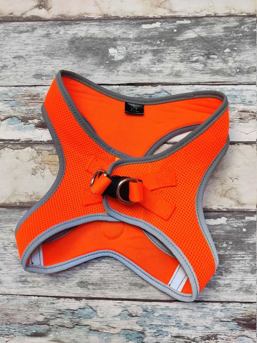 Dog Fantasy szelki neoprenowe dla szczeniąt neonowe pomarańczowe