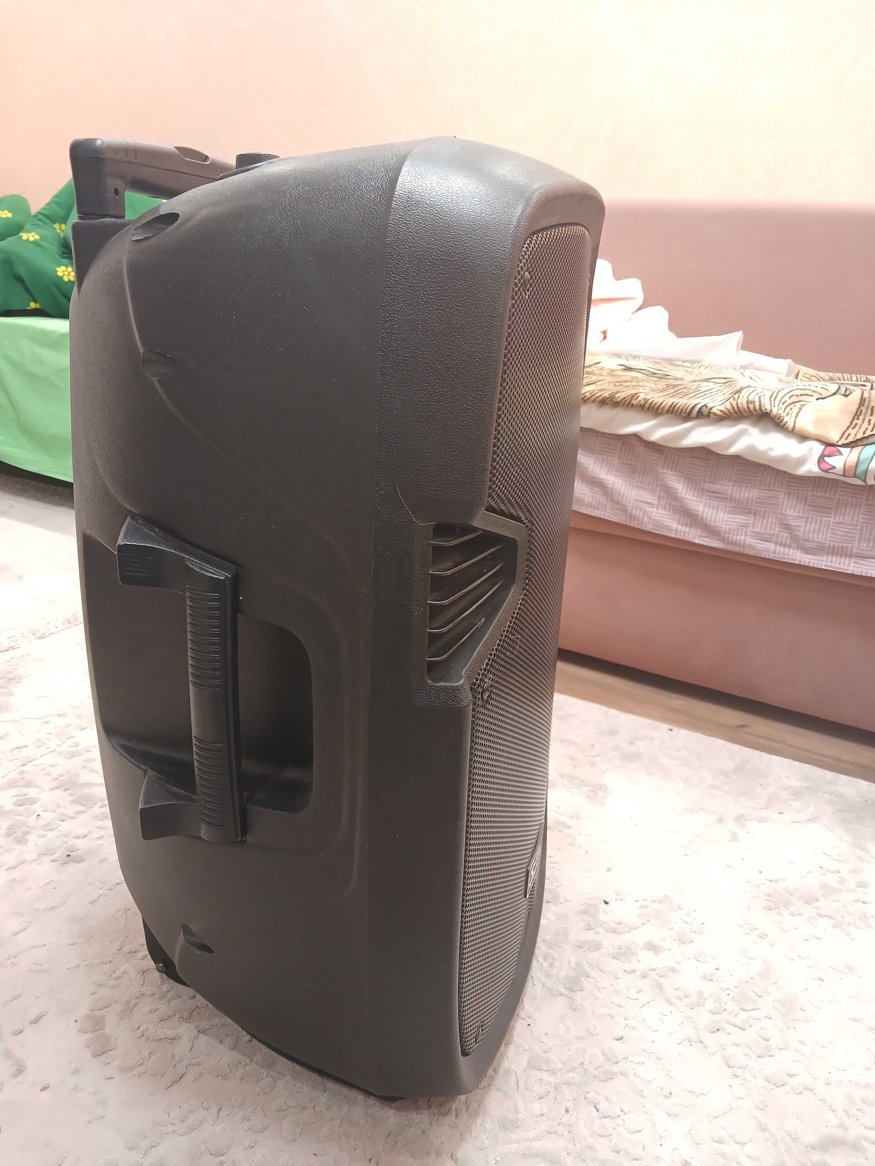 Колонка Sound King LS-911 з мікрофонами