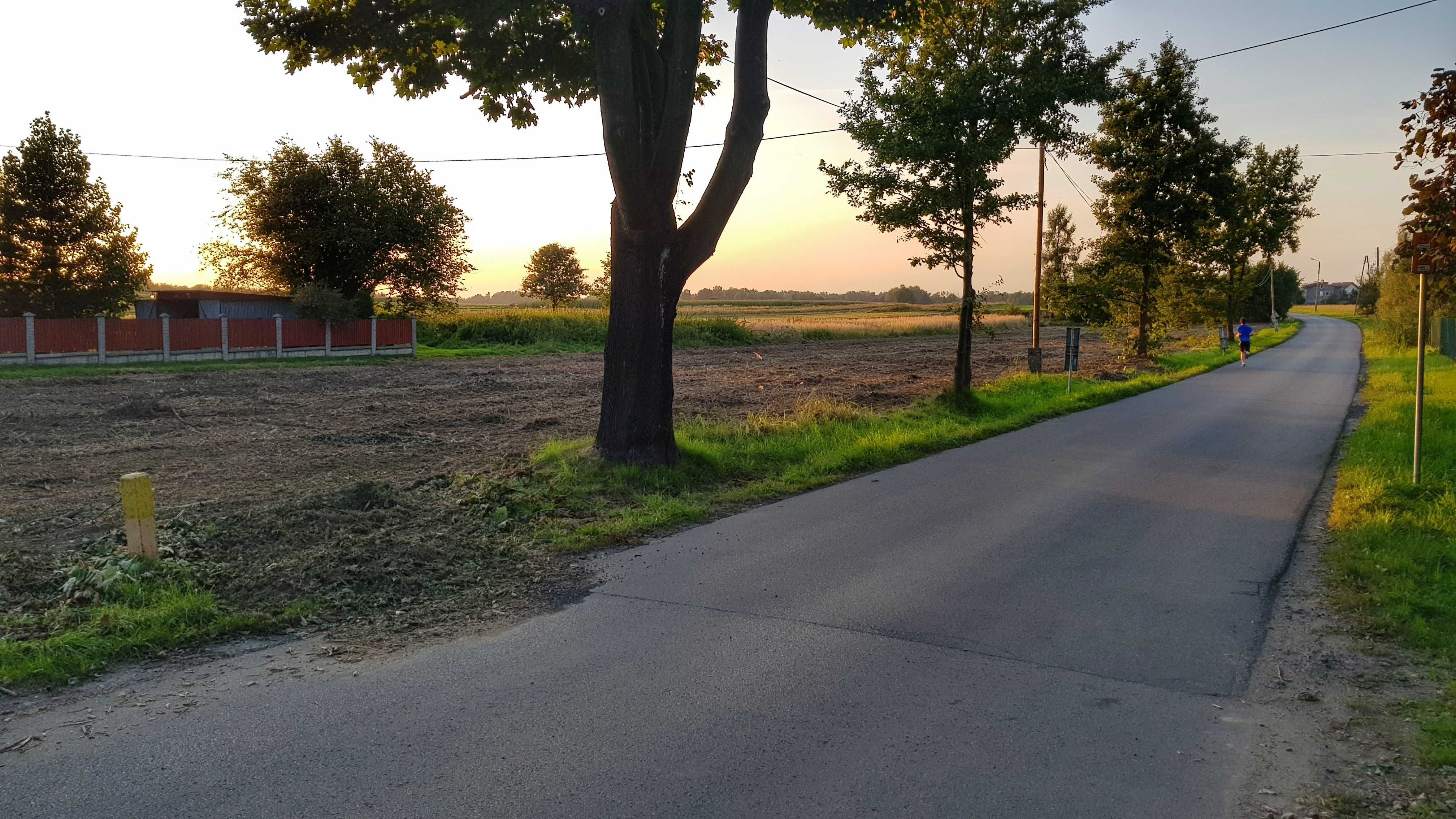 Karczowanie oczyszczanie działek wyrywanie korzeni niwelacja terenu