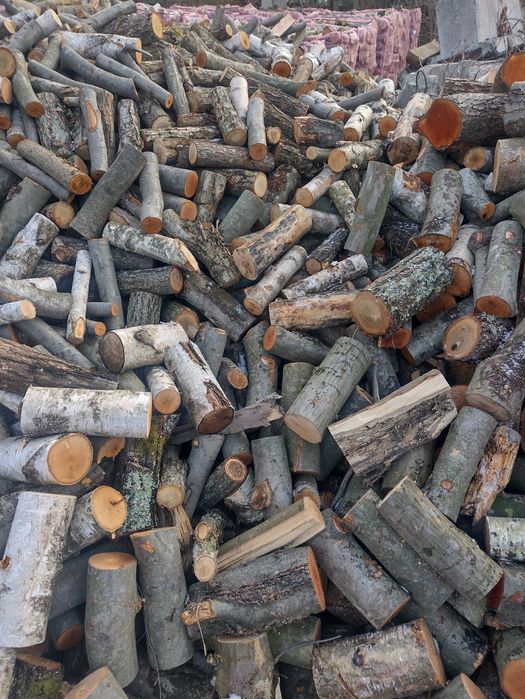 Drewno opałowe twarde Grab-Buk-Dąb