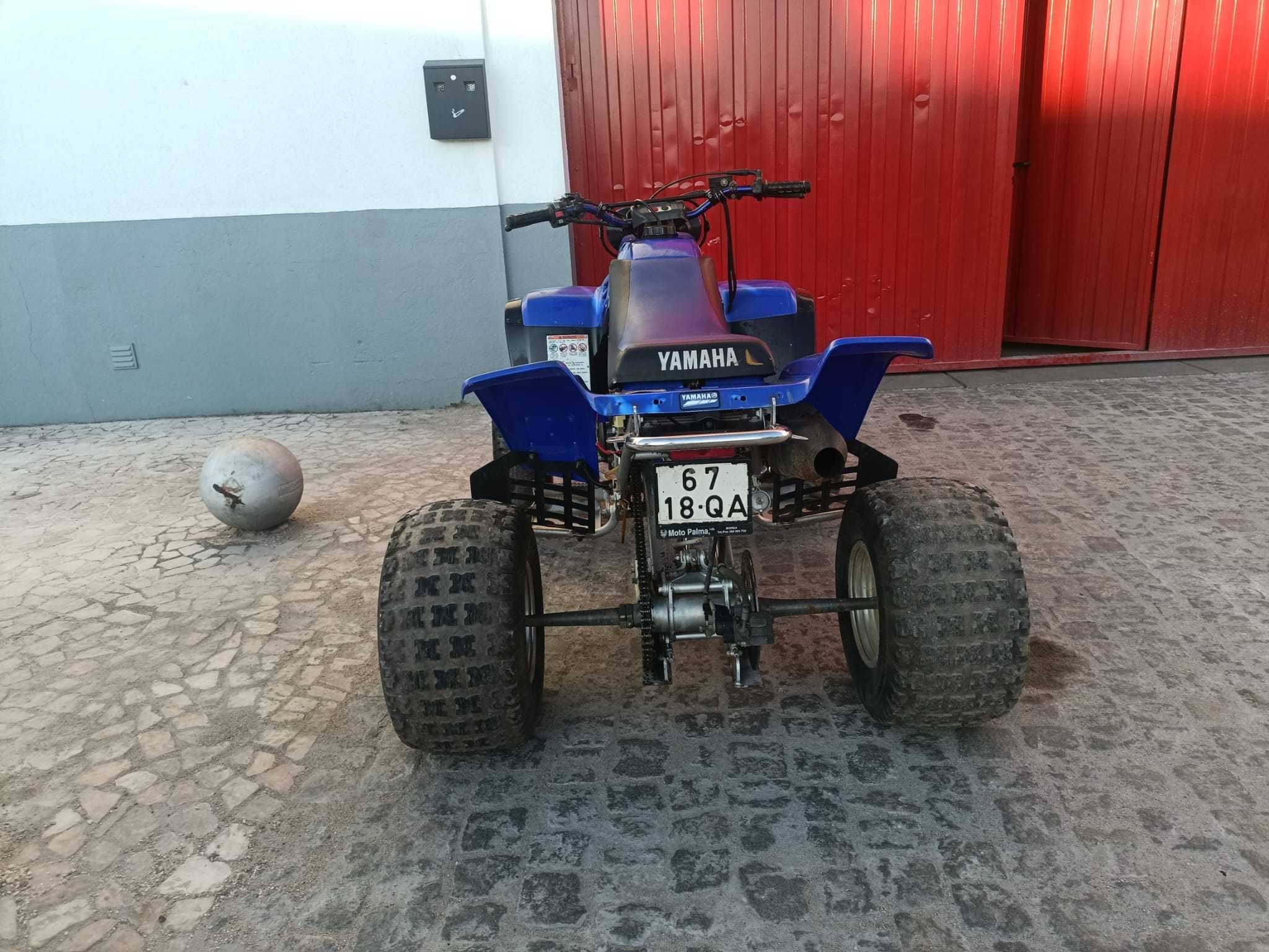Yamaha Warrior 350
