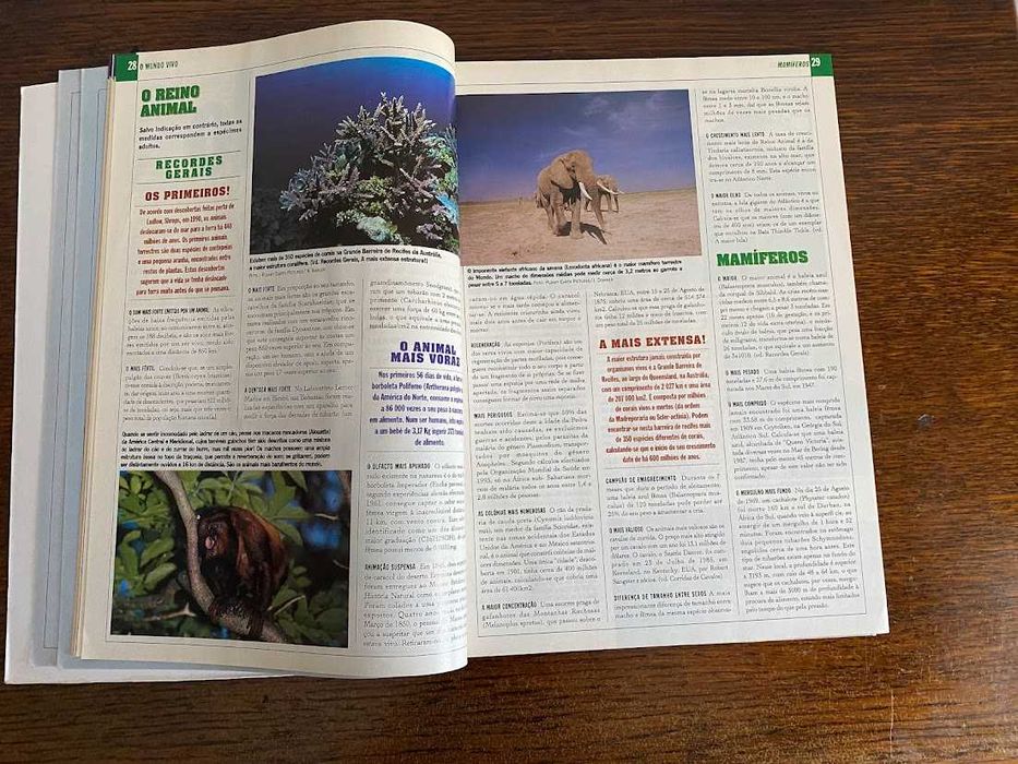 Guinness o livro dos recordes 1995
