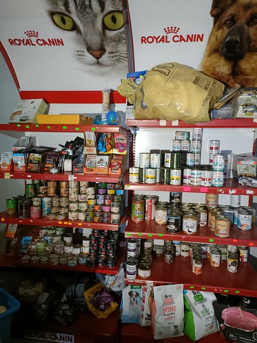 Karma dla papug myszoskoczków szynszyli gryzoni za pół ceny 50%