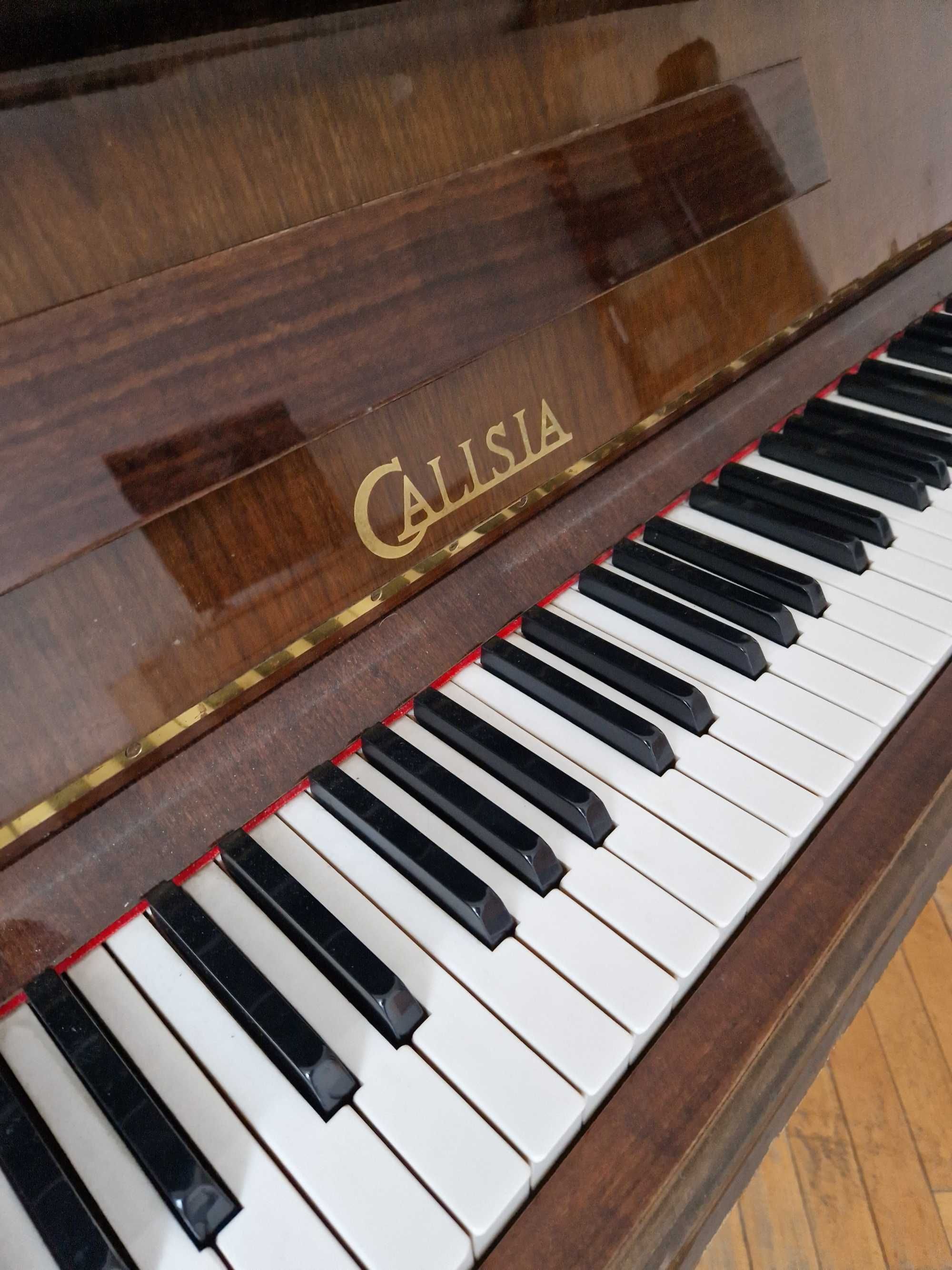 Pianino Calisia, bardzo ładne, wysoki połysk