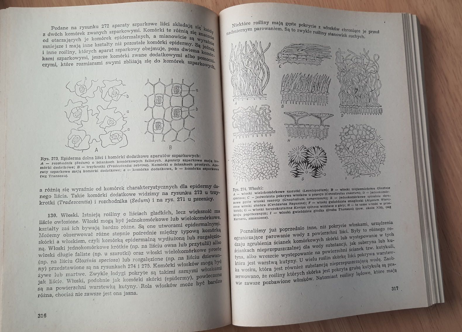 Anatomia Roślin, E. Malinowski, PWN