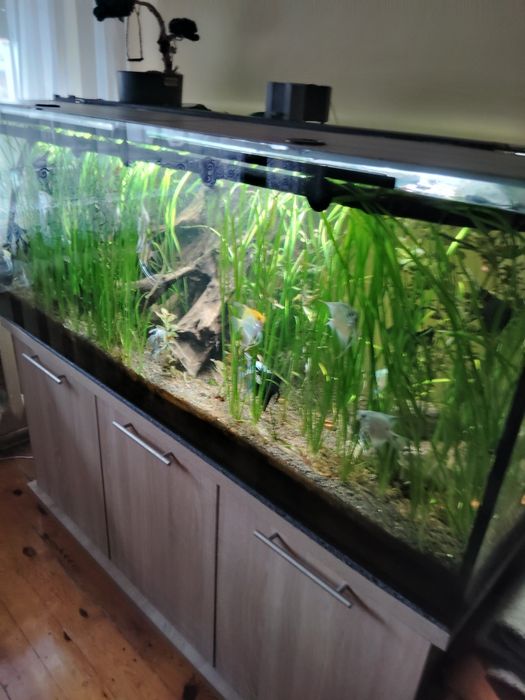 Sprzedam akwarium