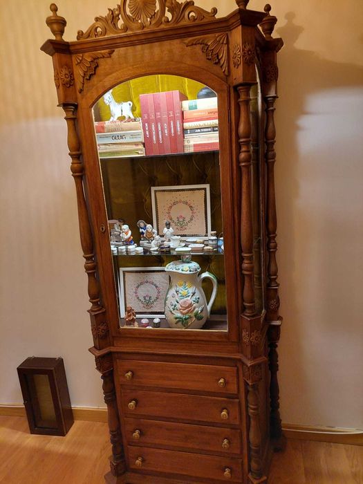 Vitrine com costas acolchoadas e eletrificada