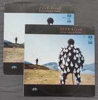 Pink Floyd - Delicate Sound Of Thunder - Płyta Winylowa Winyl Vinyl