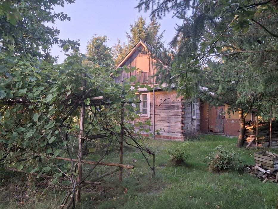 SPRZEDAM PIĘKNE Siedlisko lubelska wieś-Józefów Duży, g.Serokomla