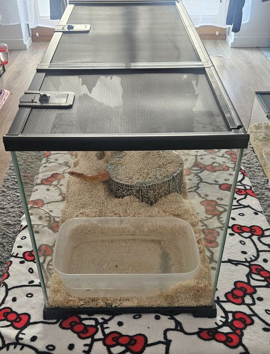 Terrarium 75x30x35cm + dodatki!