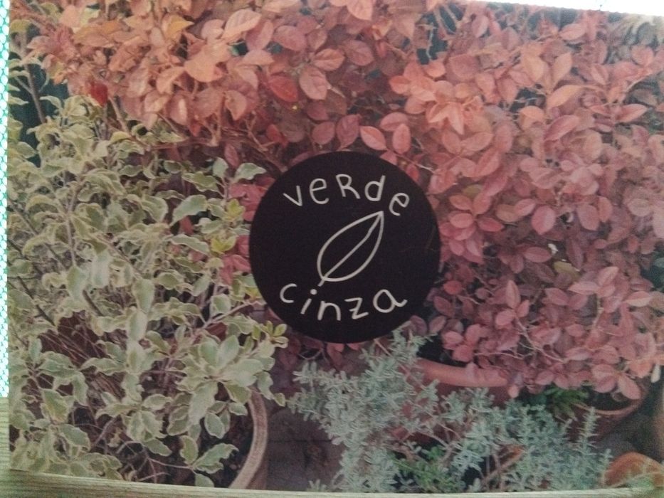 Construção de jardins