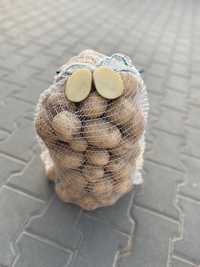 Ziemniaki jadalne  (Irga, Amerkanka)