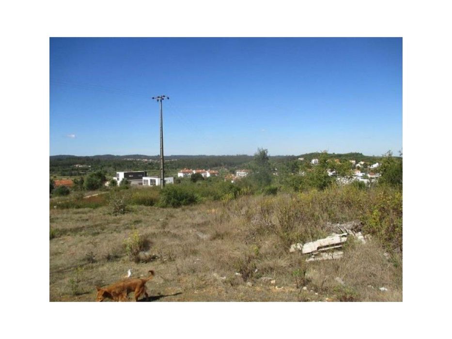 Terreno rústico com 2954m2 em Soure