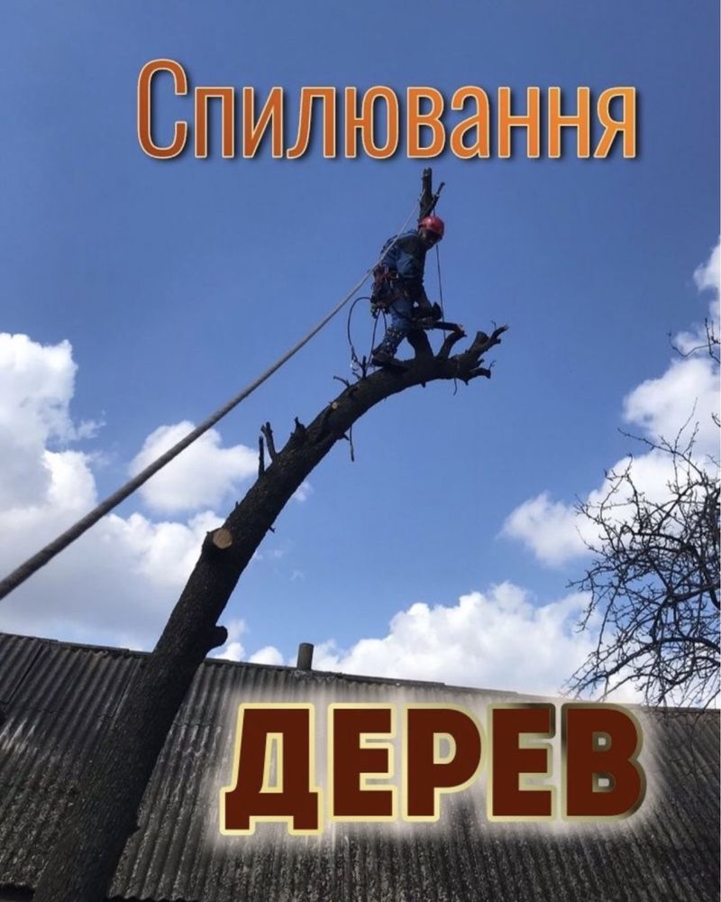 Спил деревьев и веток