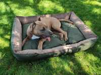 Лежак ліжко для собаки 100х70 см. велюр  зйомні чохли двохсторонні