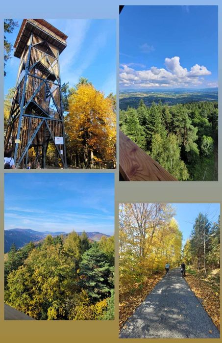 Domek do wynajęcia w Zabrzeży