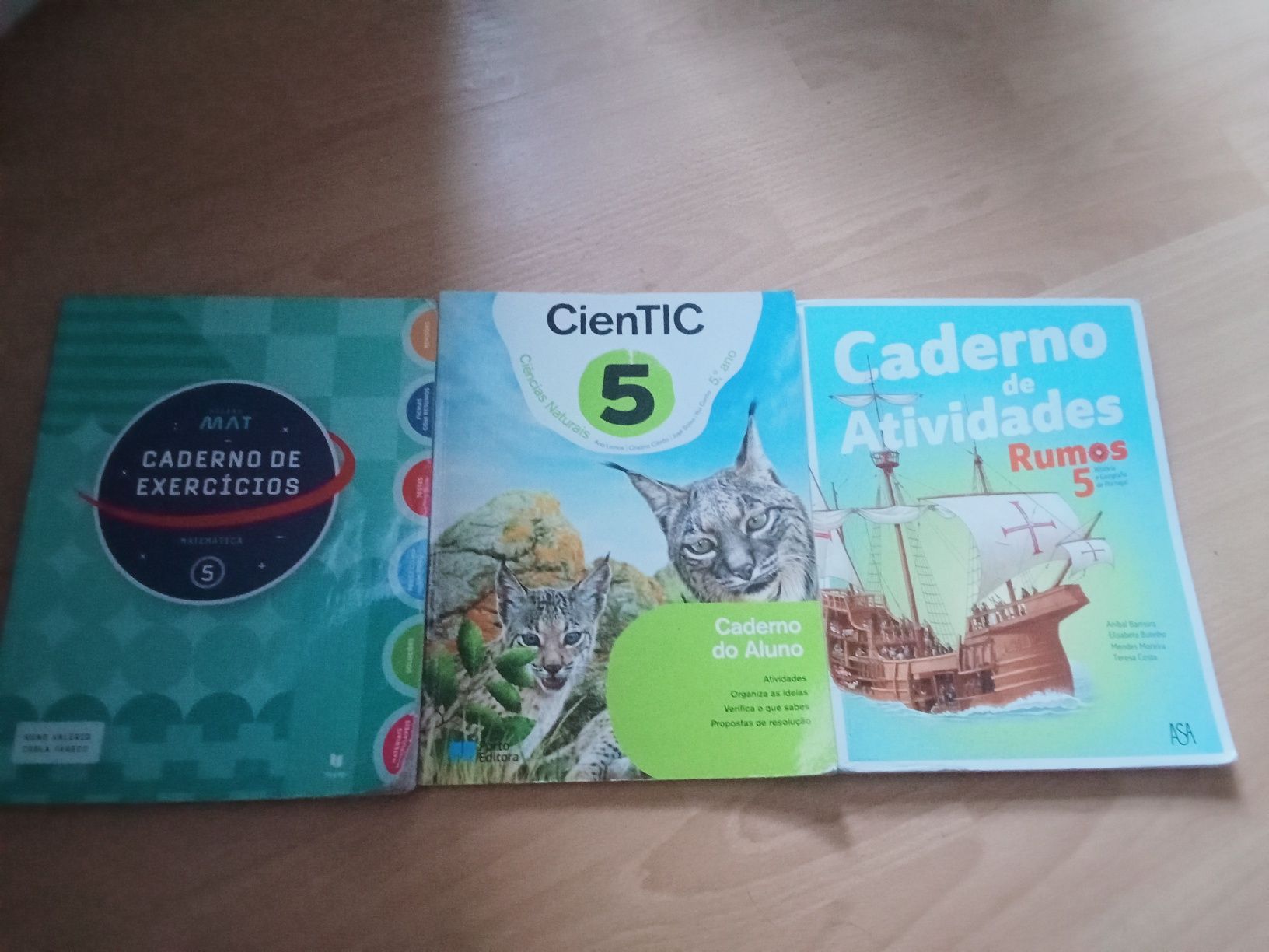Livros de fichas