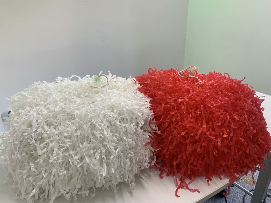 Profesjonalne pompony