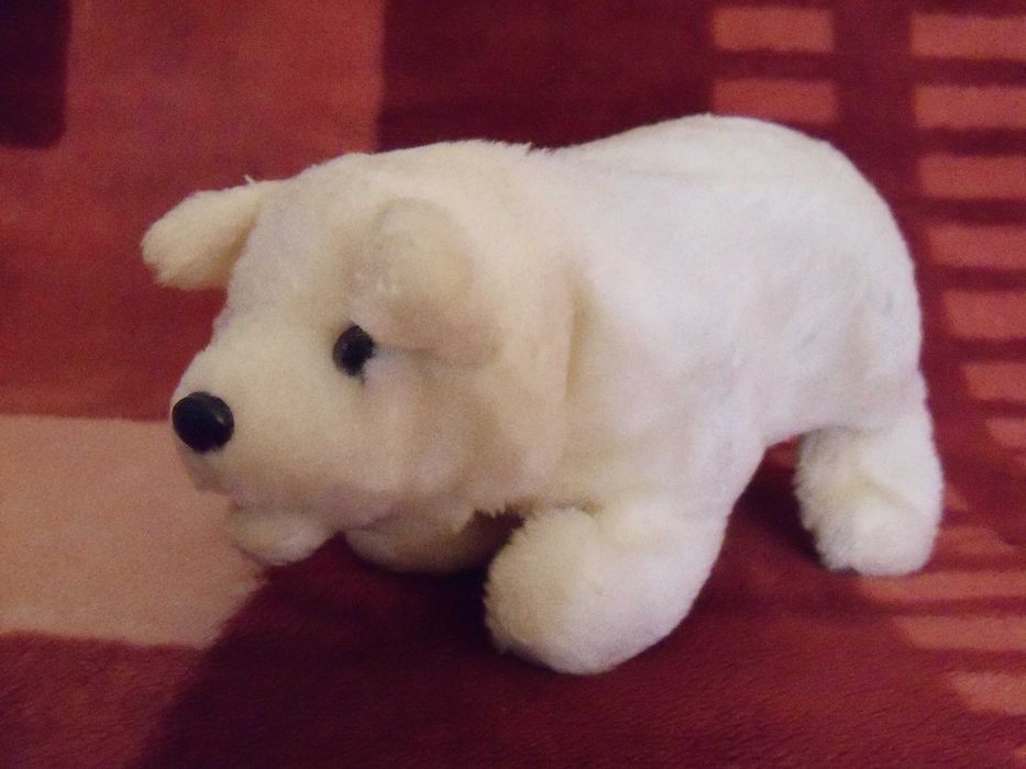 Zabawka niedźwiedź, miś, misio polarny
