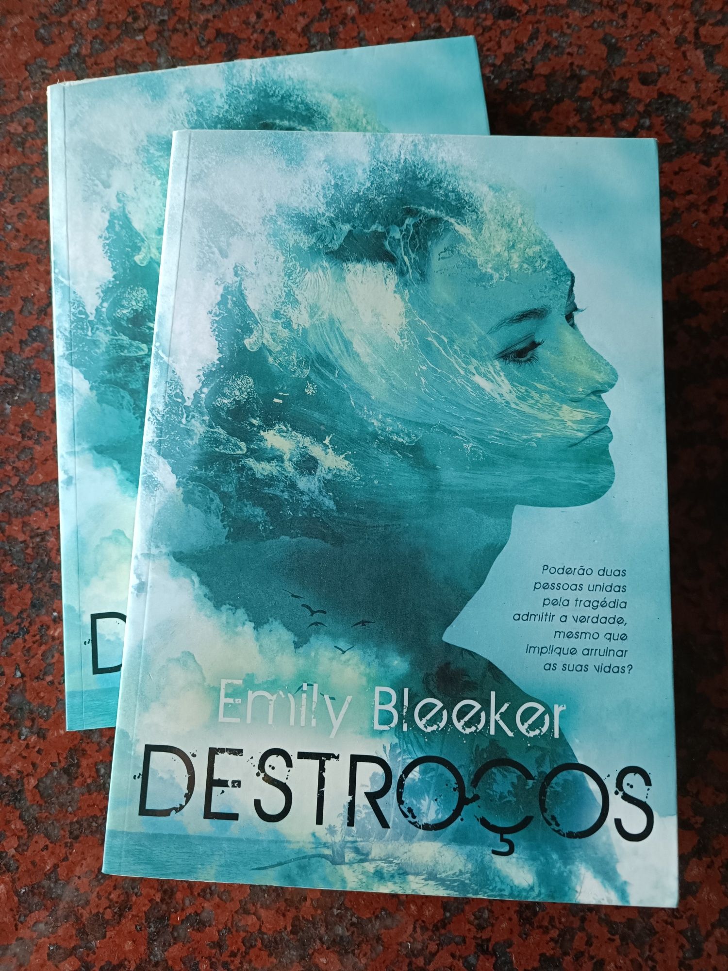 Destroços - de Emily Bleeker - NOVO