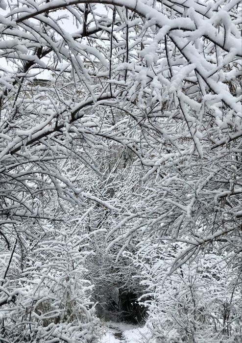 3-кімнатна квартира, вул. Вернадського 14, краєвид/природа, відеоогляд