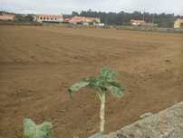 terreno para construção