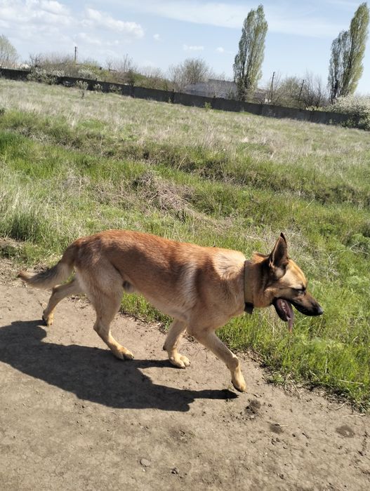 Шукаємо дівчинку для хлопчика