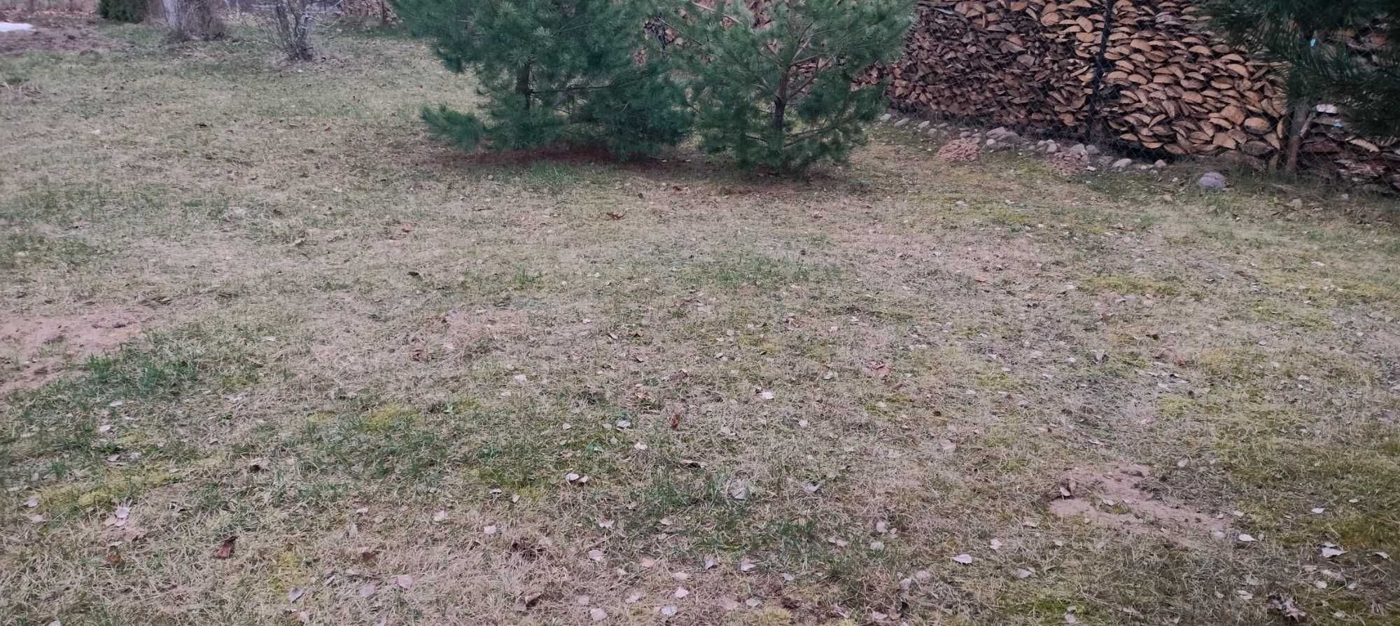 Miejsce na postawienie Uli